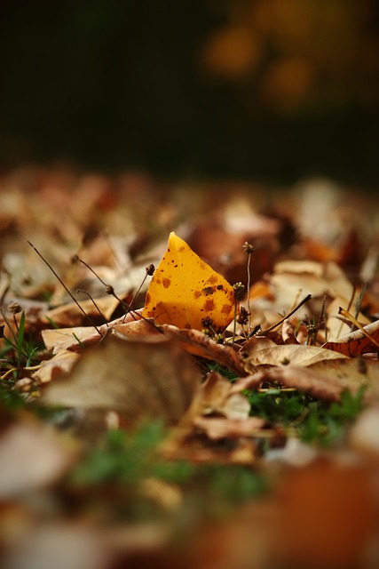 韩国职业足 韩国职业足