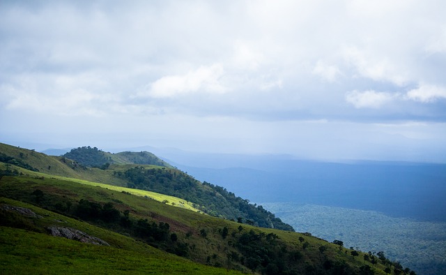 新历史记录 新历史记录