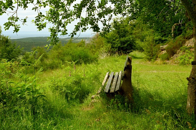 一个教训 一个教训