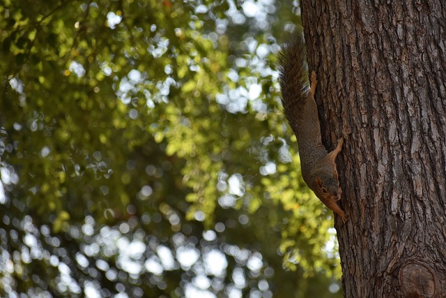 科学训练计 科学训练计