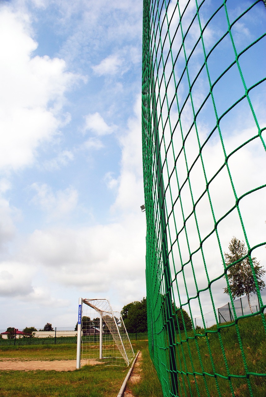 作为深圳队 作为深圳队