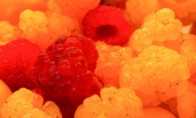 判的尊重 判的尊重