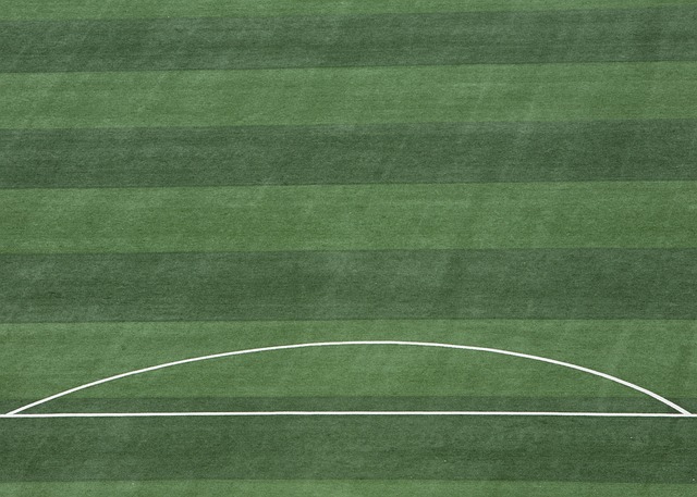 簽下卡薩迪 簽下卡薩迪