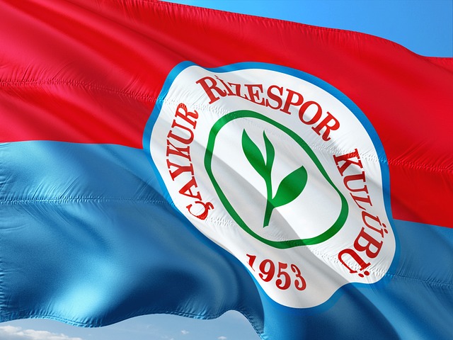 要想逆袭火 要想逆袭火